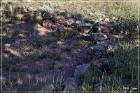 Shoofly Indian Ruins