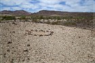 Snake Geoglyph