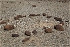 Snake Geoglyph