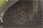 Springerville Petroglyphs