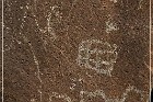 Springerville Petroglyphs