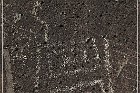 Springerville Petroglyphs