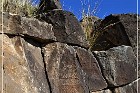 Springerville Petroglyphs
