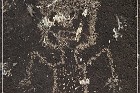 Springerville Petroglyphs