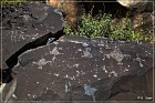 Springerville Petroglyphs