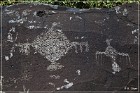 Springerville Petroglyphs