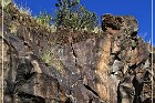 Springerville Petroglyphs