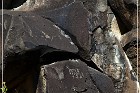 Springerville Petroglyphs