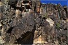 Springerville Petroglyphs