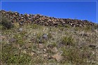 Springerville Petroglyphs