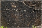 Springerville Petroglyphs