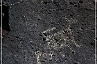 Springerville Petroglyphs