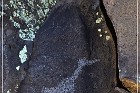 Springerville Petroglyphs