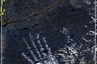 Springerville Petroglyphs