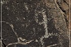 Springerville Petroglyphs