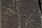 Springerville Petroglyphs