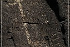 Springerville Petroglyphs
