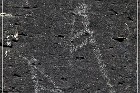 Springerville Petroglyphs