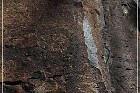 Springerville Petroglyphs