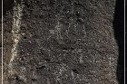 Springerville Petroglyphs
