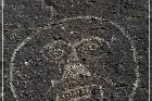 Springerville Petroglyphs