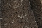 Springerville Petroglyphs