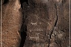Springerville Petroglyphs