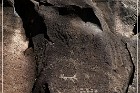 Springerville Petroglyphs