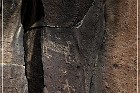 Springerville Petroglyphs