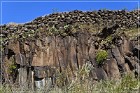 Springerville Petroglyphs