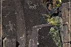 Springerville Petroglyphs