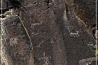 Springerville Petroglyphs