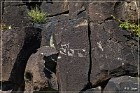 Springerville Petroglyphs