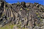 Springerville Petroglyphs