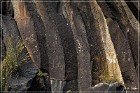 Springerville Petroglyphs