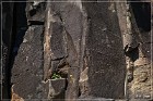 Springerville Petroglyphs