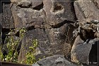 Springerville Petroglyphs