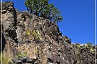 Springerville Petroglyphs