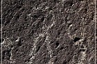 Springerville Petroglyphs