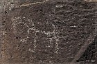 Springerville Petroglyphs
