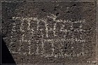 Springerville Petroglyphs