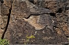 Springerville Petroglyphs
