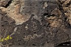 Springerville Petroglyphs