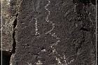 Springerville Petroglyphs