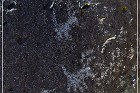 Springerville Petroglyphs