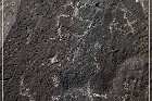 Springerville Petroglyphs