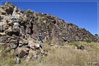Springerville Petroglyphs