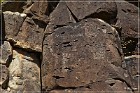 Springerville Petroglyphs