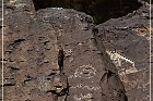 Springerville Petroglyphs