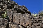 Springerville Petroglyphs